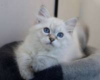 ASTI