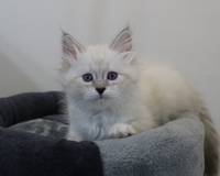 ZERI